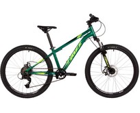 FOXX 24SHD.CAIMAN.12GN5 зеленый 173976