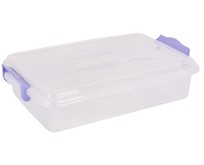 АЛЬТЕРНАТИВА М574 4,5л прямоугольный плоский