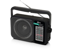 RITMIX RPR303, черный