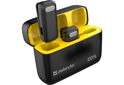 DEFENDER (64139) Talky139 wrls, черный, кейс, 2шт