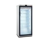 БИРЮСА B235DNZ 235л шкафвитрина (черная рамка)