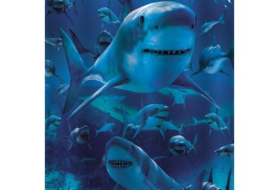 BRIMIX 0203 Шторка в ванную комнату фотопечать АКУЛА