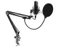 RITMIX RDM169 черный