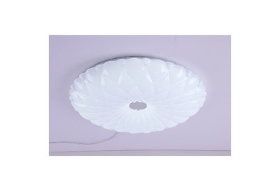 CAMELION (13389) LBS1005 68 Вт/30006000К