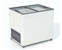 FROSTOR F 250 С (ларь, прямое стекло)