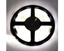 ECOLA P5LW05ESB 4,8W/m 12V IP65 8mm 2800K 5м