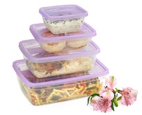 VIOLET Набор контейнеров FRESCO 4 шт. 1000 мл (Лаванда) 470010136