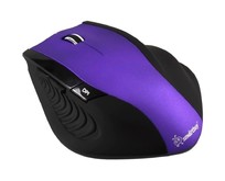 SMARTBUY (SBM613AGP/K), фиолетовый