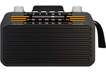 SOUNDMAX SMRD2114UB(черный)