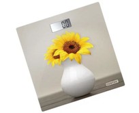 CENTEK CT2428 Sunflower