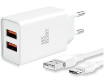 AKSBERRY (6900203240019) T38 2 USB 2.4A + TypeC белый