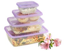 VIOLET Набор контейнеров FRESCO 4 шт. 250 мл (Лаванда) 470025136