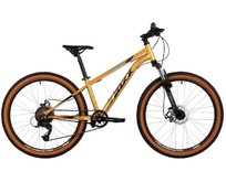 FOXX 24SHD.CAIMAN.12GD5 золотой 173977