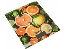 ВАСИЛИСА ВА020