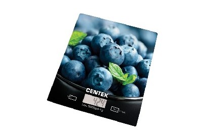 CENTEK CT2462 blueberry