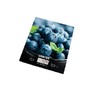 CENTEK CT2462 blueberry