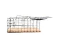 РЫЖИЙ КОТ крысоловка 