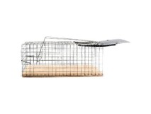 РЫЖИЙ КОТ крысоловка 