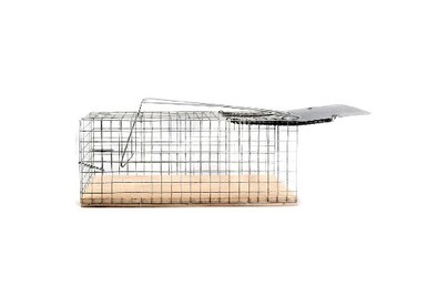 РЫЖИЙ КОТ крысоловка 