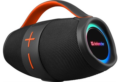 DEFENDER (65324) Beatbox 24 25Вт