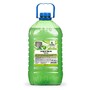 CLEAN&GREEN CG8010 Soapy яблоко эконом 5кг