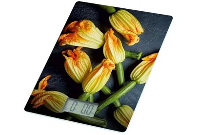 HOMESTAR HS3015В (110057)