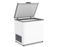 FROSTOR F 250 S (ларь, глухая крышка)