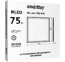 SMARTBUY (SBLUNIEMC75W65) Pro 75W /6500K