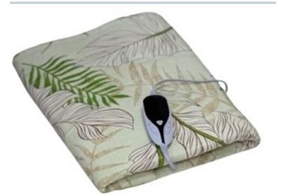 БРТЗ Электропростынь с электронным регулятором SOFT 904 23c477