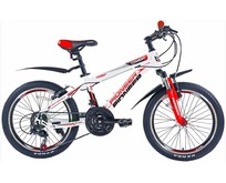 PIONEER COMBAT 20