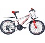 PIONEER COMBAT 20