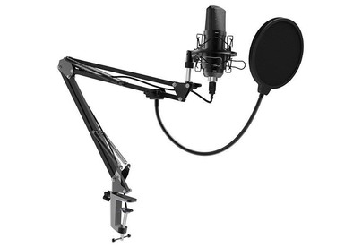RITMIX RDM169 черный