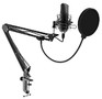 RITMIX RDM169 черный