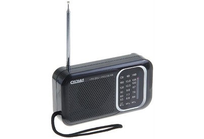 СИГНАЛ РП202 УКВ 64108МГц, бат. 2*R20, 220V