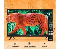 SKYLINE 24YST5970 HD SMART TV Android
