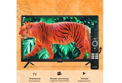 SKYLINE 24YST5970 HD SMART TV Android