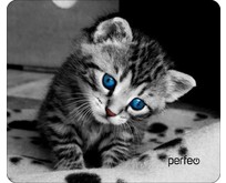 PERFEO (PF_D0655) 