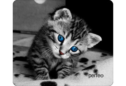 PERFEO (PF_D0655) 
