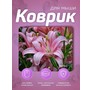 PERFEO (PF_E1769) ЦВЕТЫ