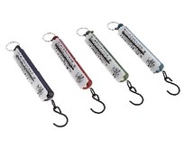 РЫЖИЙ КОТ БР10 безмен 10 кг столбик (004381)