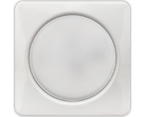 SMARTBUY (SBL10WHGX53) GX53 белый