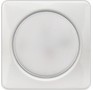 SMARTBUY (SBL10WHGX53) GX53 белый