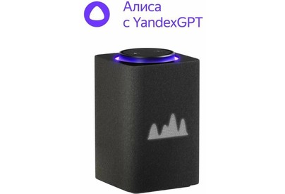 ЯНДЕКС YNDX00053K Умная колонка Станция Макс Zigbee, 65Вт, с Алисой, графитовый