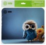CACTUS Owl gray рисунок 300x250x3мм (CSMPCD12M)