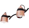 ESCADA 1138/2A E14*40W Black/Copper