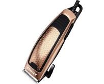 CENTEK CT2129 gold