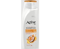 ACTIVE Шампунь питательный CARE & BEAUTY. С кокосовым маслом и витамином B5, 350 мл (512102054)