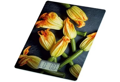 HOMESTAR HS3015В (110057)