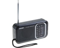 СИГНАЛ РП202 УКВ 64108МГц, бат. 2*R20, 220V