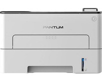 PANTUM P3010DW White
